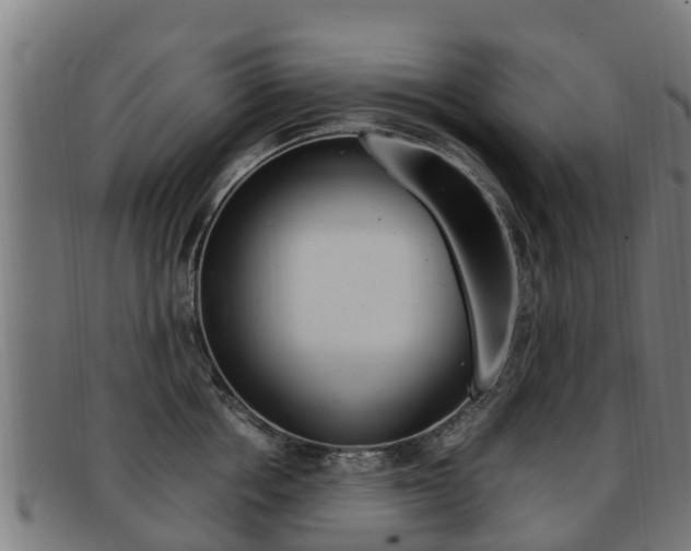 X0000091920858200709051229