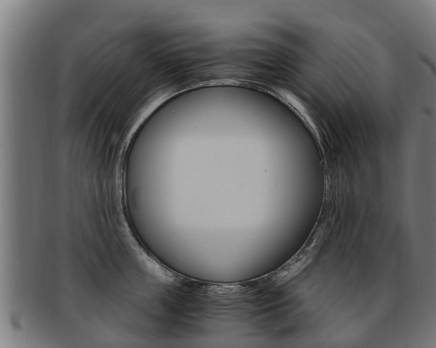 X0000091920859200709051229