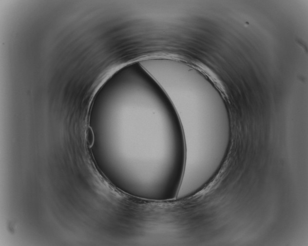 X0000091920860200709051230