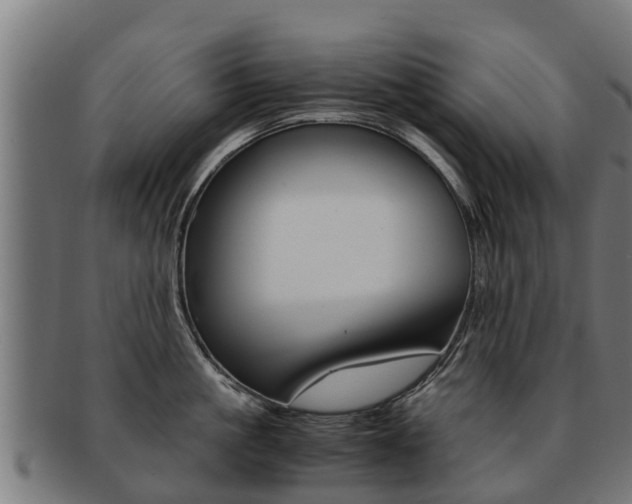 X0000091920861200709051230