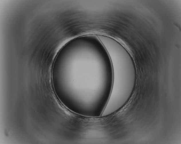 X0000091920862200709051230