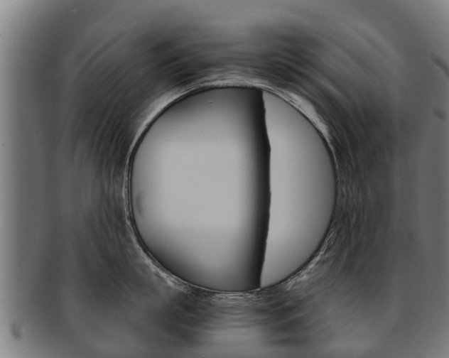 X0000091920863200709051230