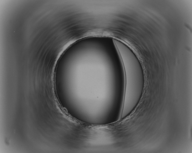 X0000091920864200709051230