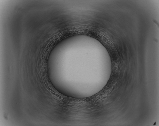 X0000091920865200709051229