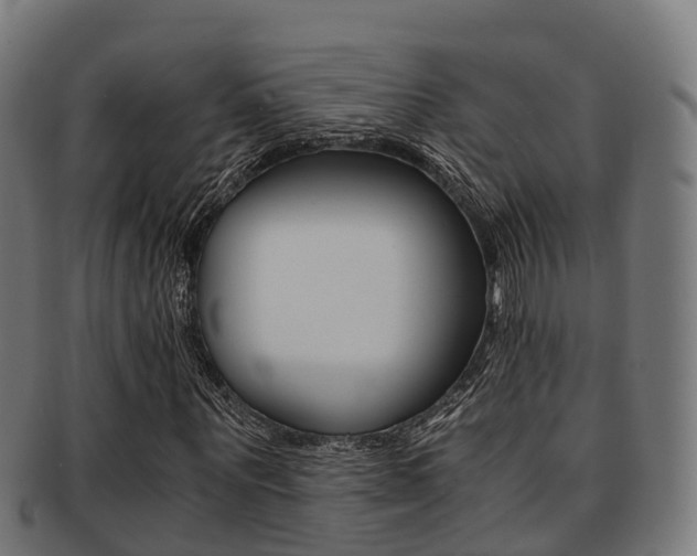 X0000091920867200709051229