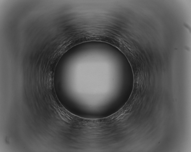 X0000091920868200709051229