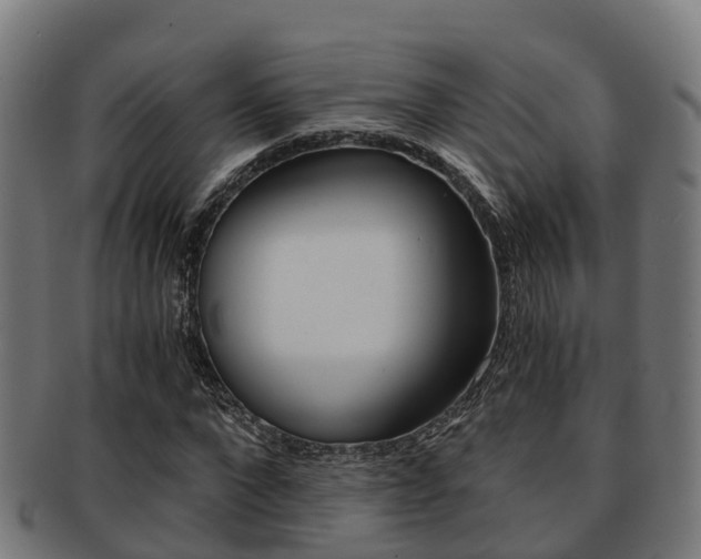 X0000091920872200709051229