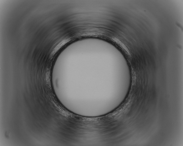 X0000091920874200709051229
