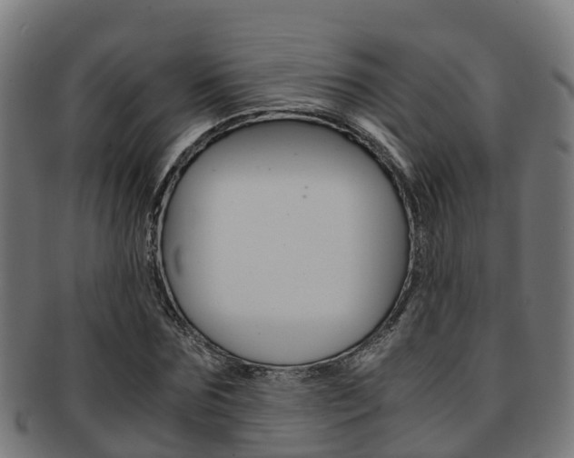 X0000091920875200709051229