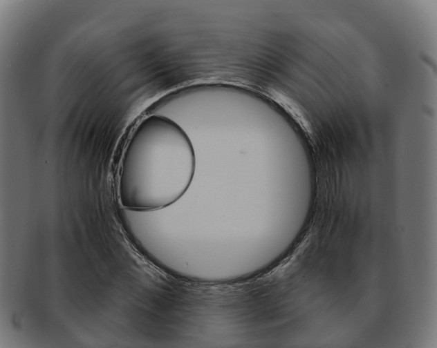 X0000091920876200709051229