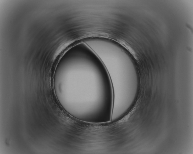 X0000091920877200709051229