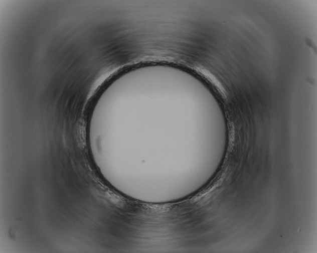 X0000091920878200709051229
