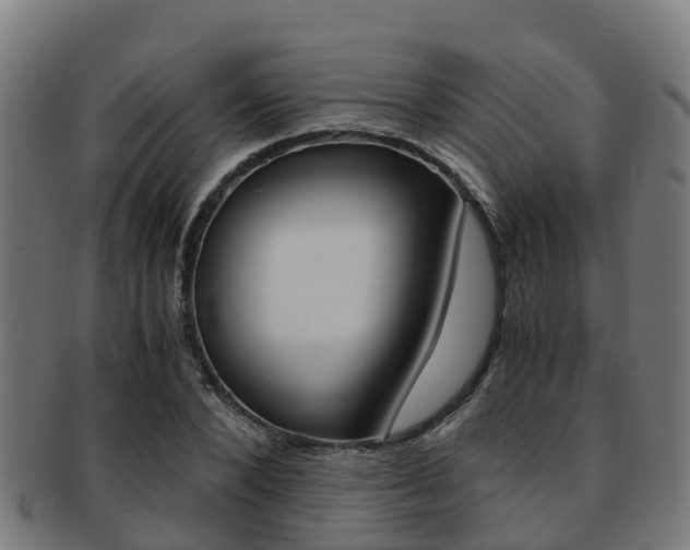 X0000091920880200709051229