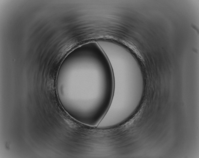 X0000091920881200709051229