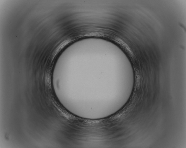 X0000091920882200709051229