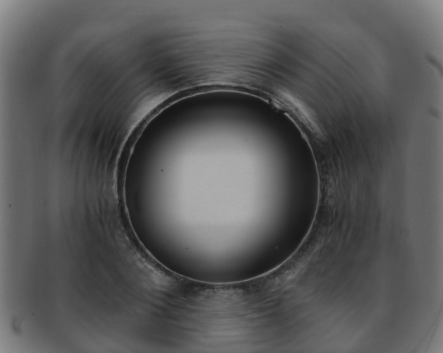 X0000091920884200709051229