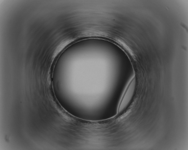 X0000091920885200709051229