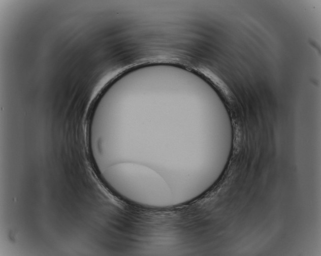 X0000091920886200709051229