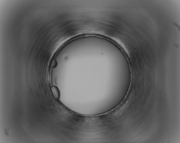 X0000091920887200709051229