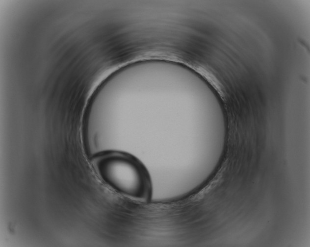 X0000091920888200709051229