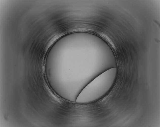 X0000091920890200709051229