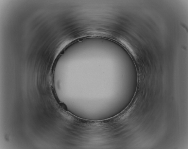 X0000091920891200709051229