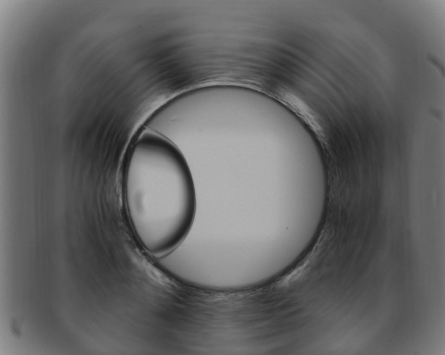 X0000091920892200709051228