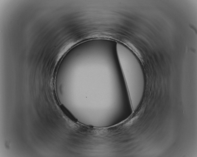 X0000091920893200709051228