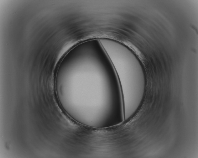 X0000091920894200709051228
