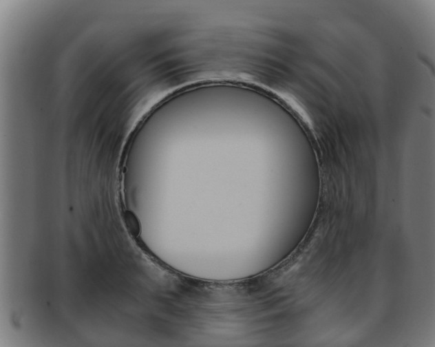 X0000091920895200709051228