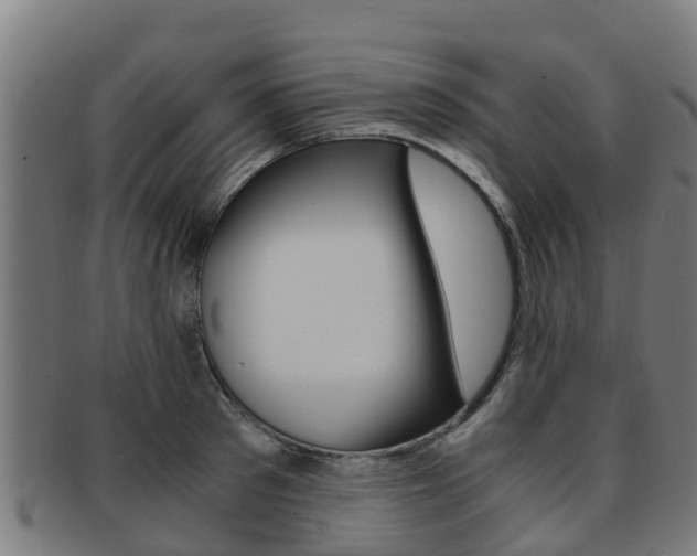X0000091920897200709051228