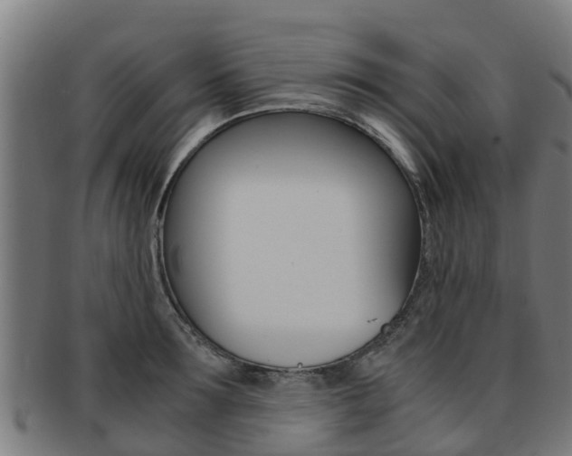 X0000091920899200709051228
