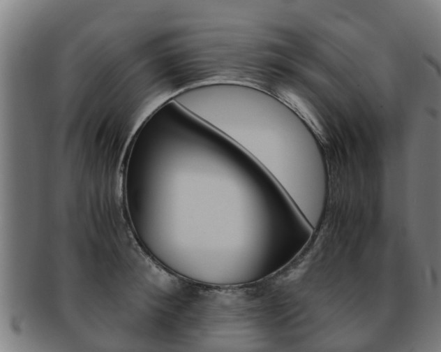X0000091920900200709051228