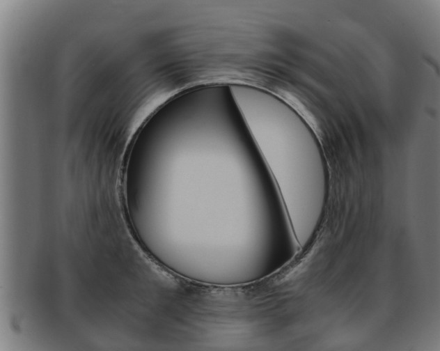 X0000091920901200709051228