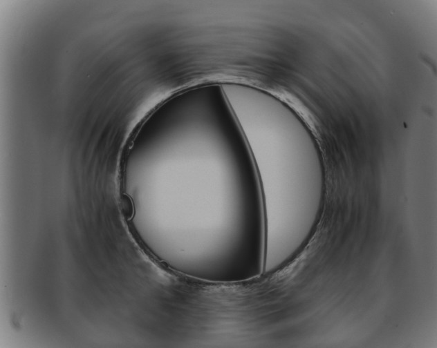 X0000091920902200709051228