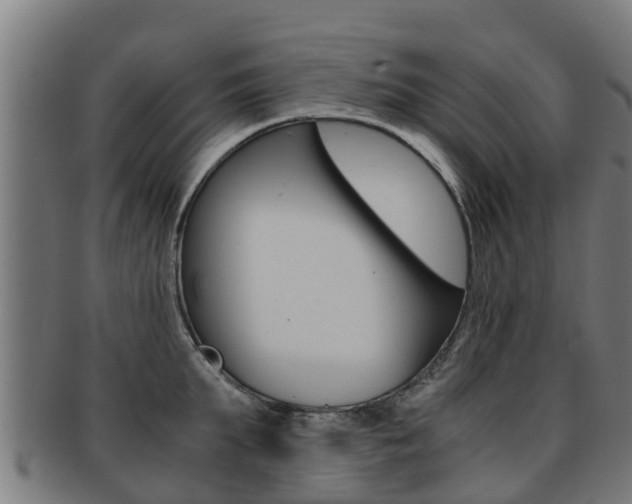 X0000091920903200709051228