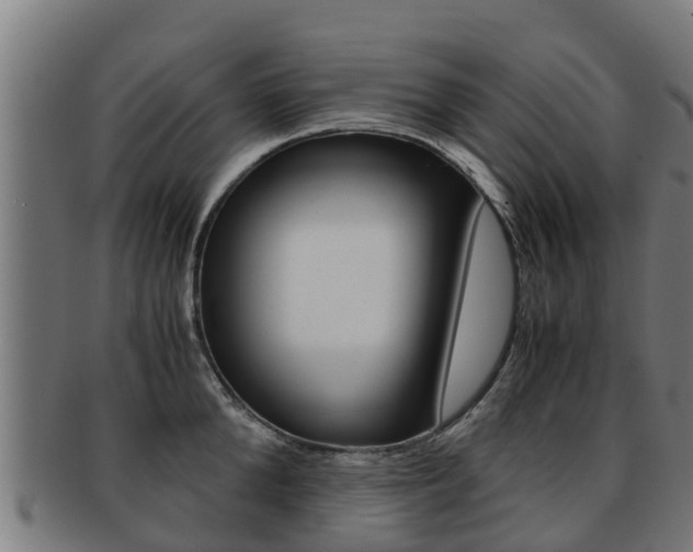 X0000091920904200709051228