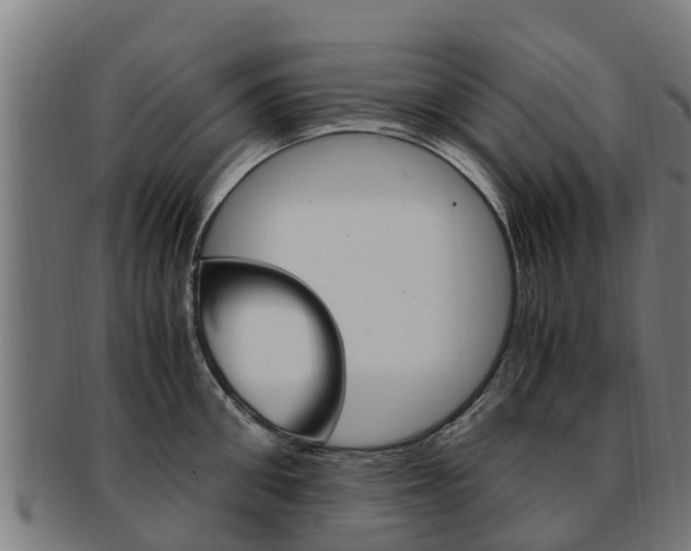 X0000091920906200709051228