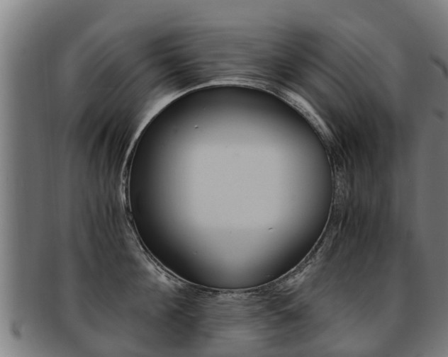 X0000091920908200709051228
