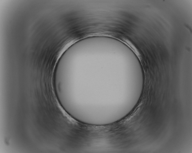 X0000091920909200709051228