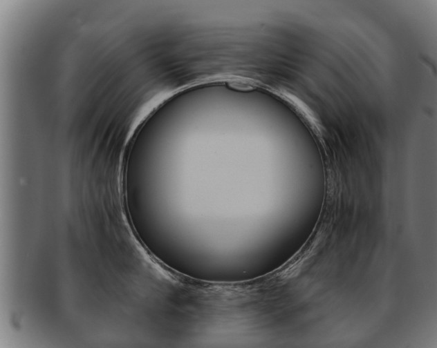 X0000091920910200709051228