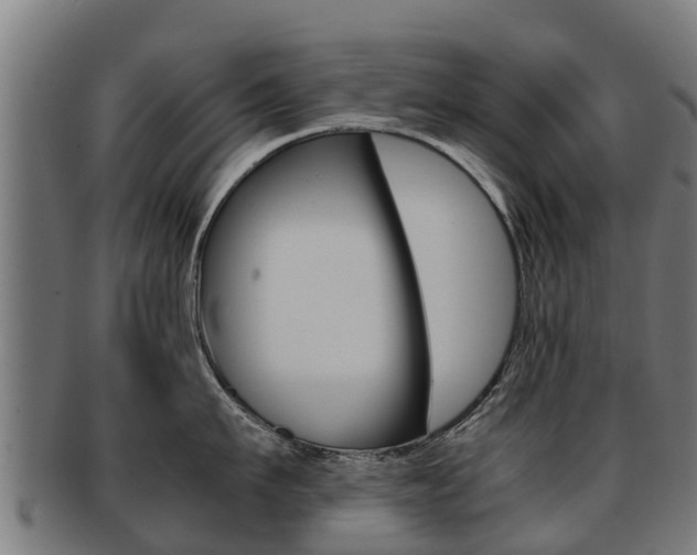 X0000091920911200709051228