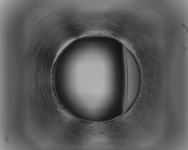X0000091920912200709051228