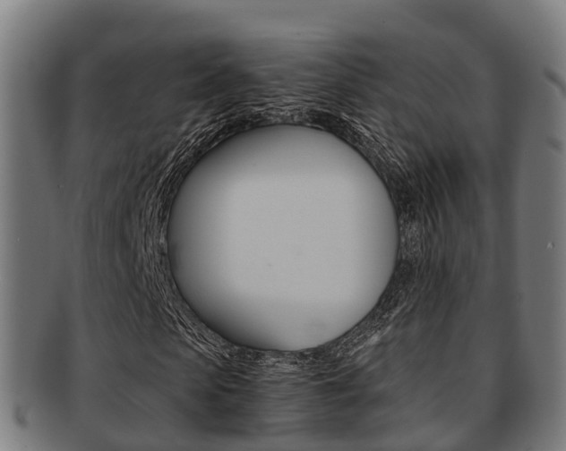 X0000091920913200709051228