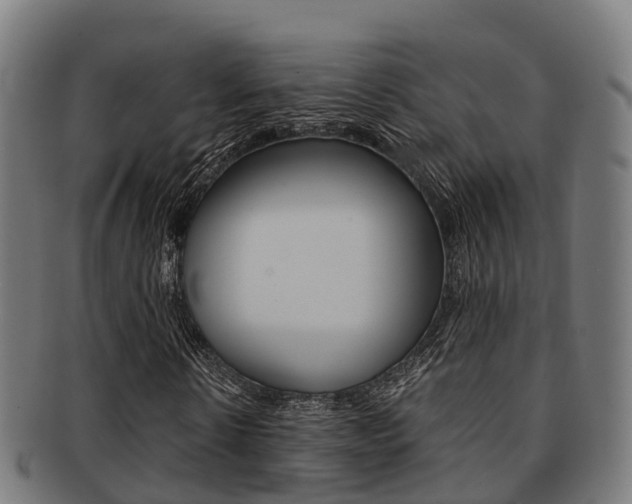X0000091920914200709051228