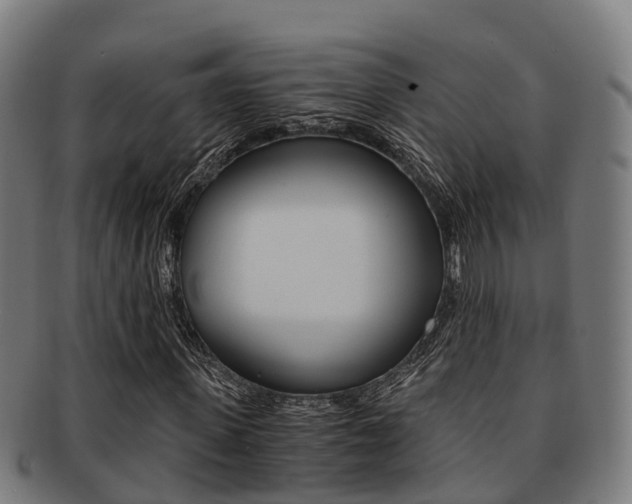 X0000091920915200709051228