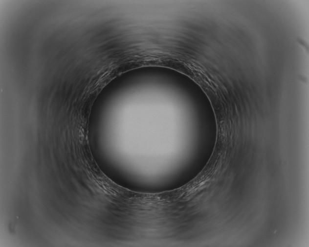 X0000091920916200709051228