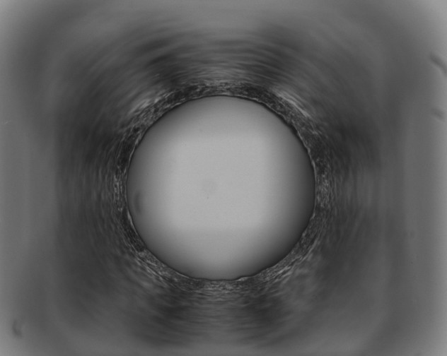 X0000091920917200709051228