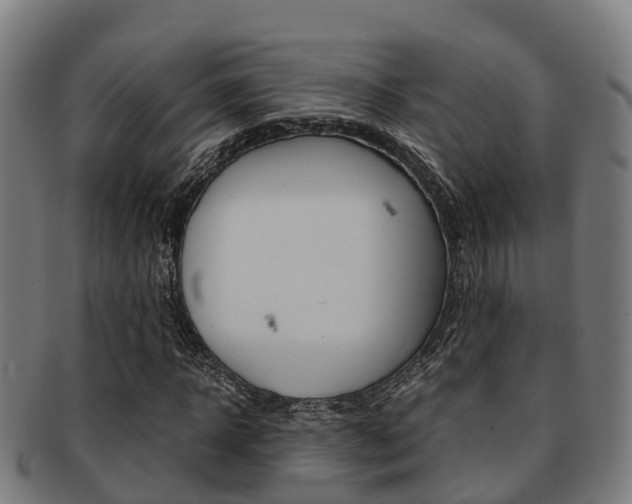 X0000091920918200709051228