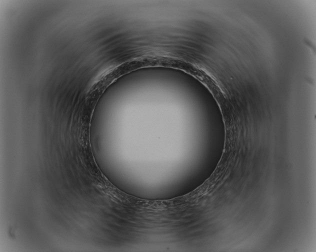 X0000091920919200709051228